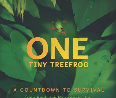 One Tiny Treefrog: A Countdown to Survival